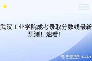 武漢工業(yè)學(xué)院成考錄取分?jǐn)?shù)線最新預(yù)測！速看！