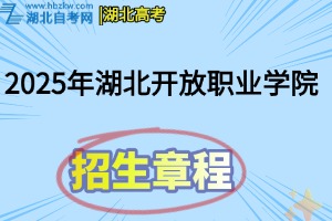招生章程(28)