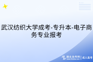 武漢紡織大學成考-專升本-電子商務專業(yè)報考