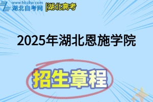 招生章程(31)