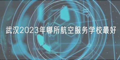 武漢2023年哪所航空服務(wù)學校最好