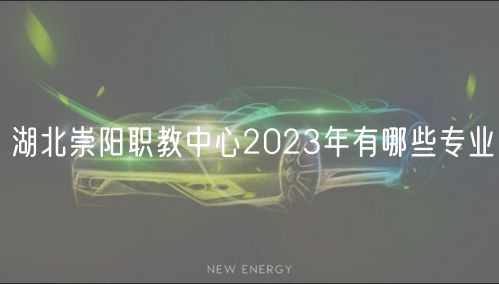 湖北崇陽職教中心2023年有哪些專業(yè)