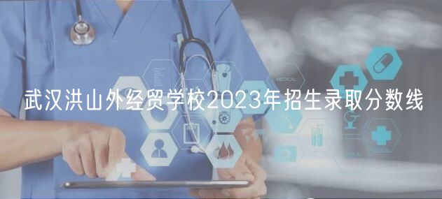 武漢洪山外經(jīng)貿(mào)學校2023年招生錄取分數(shù)線