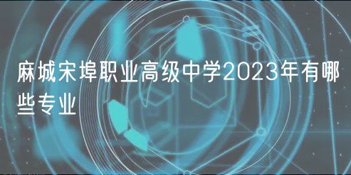 麻城宋埠職業(yè)高級(jí)中學(xué)2023年有哪些專(zhuān)業(yè)