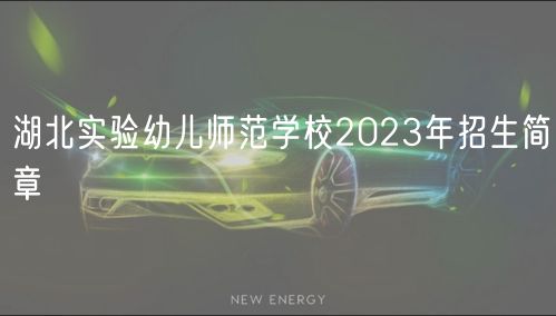 湖北實驗幼兒師范學(xué)校2023年招生簡章