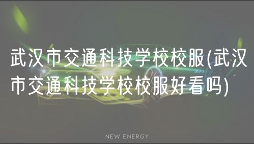 武漢市交通科技學(xué)校校服(武漢市交通科技學(xué)校校服好看嗎)