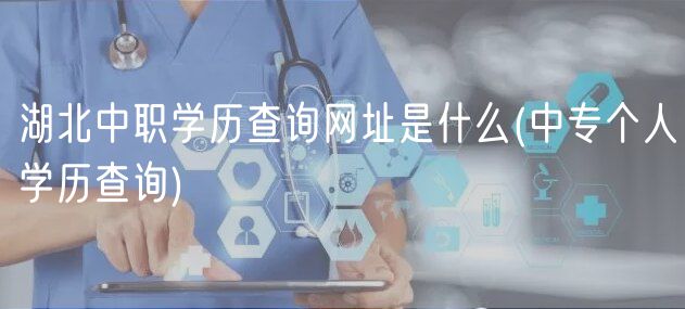 湖北中職學(xué)歷查詢網(wǎng)址是什么(中專個(gè)人學(xué)歷查詢)
