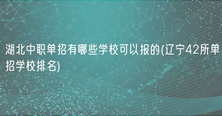 湖北中職單招有哪些學(xué)校可以報的(遼寧42所單招學(xué)校排名)