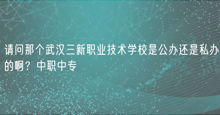 請問那個武漢三新職業(yè)技術(shù)學(xué)校是公辦還是私辦的啊？中職中專