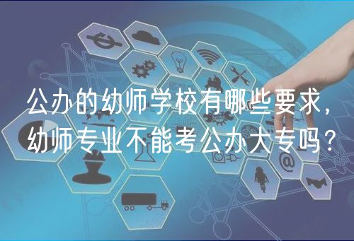 公辦的幼師學(xué)校有哪些要求，幼師專(zhuān)業(yè)不能考公辦大專(zhuān)嗎？