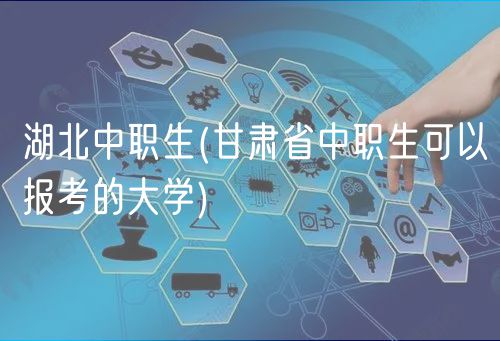 湖北中職生(湖北省中職生可以報考的大學(xué))