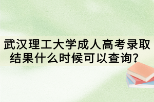 武漢理工大學(xué)成人高考錄取結(jié)果什么時候可以查詢？