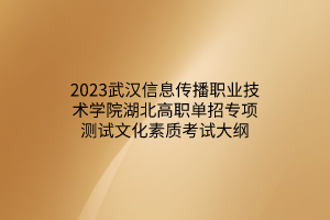 2023武漢信息傳播職業(yè)技術(shù)學(xué)院湖北高職單招專項測試文化素質(zhì)考試大綱