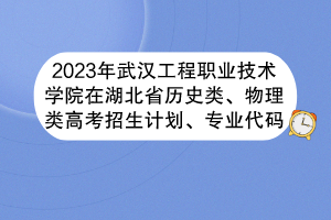 2023年武漢工程職業(yè)技術(shù)學(xué)院在湖北省歷史類、物理類高考招生計(jì)劃、專業(yè)代碼