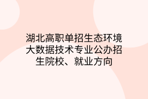 湖北高職單招生態(tài)環(huán)境大數(shù)據(jù)技術(shù)專業(yè)公辦招生院校、就業(yè)方向