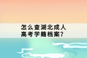 怎么查湖北成人高考學籍檔案？