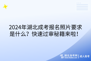 2024年湖北成考報名照片要求是什么？快速過審秘籍來啦！