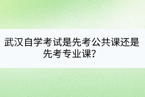 武漢自學(xué)考試是先考公共課還是先考專業(yè)課？