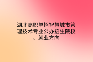 湖北高職單招智慧城市管理技術(shù)專業(yè)公辦招生院校、就業(yè)方向