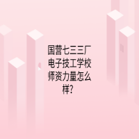 國(guó)營(yíng)七三三廠電子技工學(xué)校師資力量怎么樣？