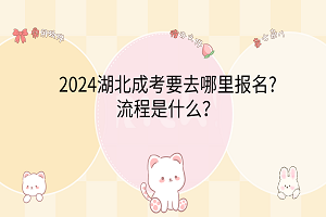 2024湖北成考要去哪里報(bào)名?流程是什么？