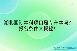 湖北國際本科項目是專升本嗎？報名條件大揭秘！