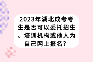 2023年湖北成考考生是否可以委托招生、培訓(xùn)機(jī)構(gòu)或他人為自己網(wǎng)上報(bào)名？
