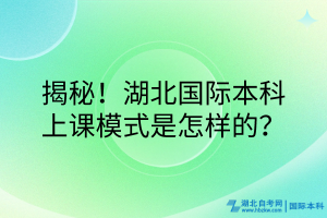 揭秘！湖北國際本科的上課模式是怎樣的？
