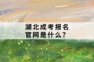 湖北成考報名官網(wǎng)是什么？