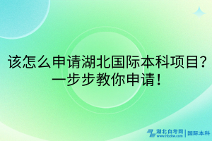 該怎么申請湖北國際本科項目？一步步教你申請！