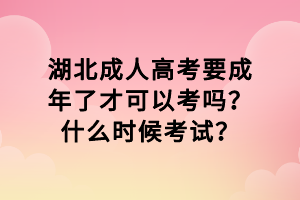 湖北成人高考要成年了才可以考嗎？什么時(shí)候考試？