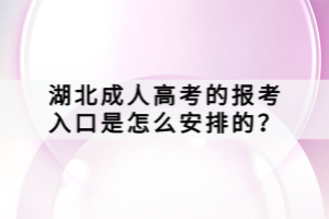 湖北成人高考的報考入口是怎么安排的？