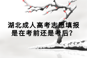 湖北成人高考志愿填報是在考前還是考后？