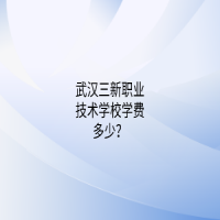 武漢三新職業(yè)技術(shù)學(xué)校學(xué)費(fèi)多少？