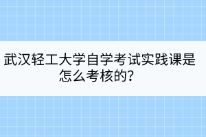 武漢輕工大學(xué)自學(xué)考試實踐課是怎么考核的？