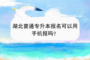 湖北普通專升本報(bào)名可以用手機(jī)報(bào)嗎？