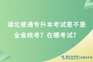 湖北普通專(zhuān)升本考試是不是全省統(tǒng)考？在哪考試？