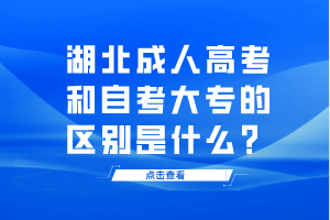 湖北成人高考和自考大專的區(qū)別是什么？