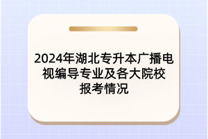 2024年湖北專升本廣播電視編導專業(yè)及各大院校報考情況