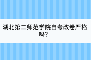 湖北第二師范學院自考改卷嚴格嗎？