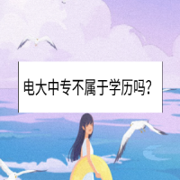 電大中專不屬于學(xué)歷嗎？