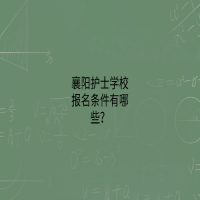 襄陽護士學(xué)校報名條件有哪些？