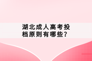 湖北成人高考投檔原則有哪些？