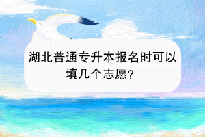 湖北普通專升本報(bào)名時(shí)可以填幾個(gè)志愿？