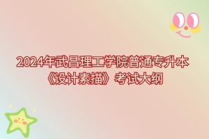 2024年武昌理工學(xué)院普通專(zhuān)升本《設(shè)計(jì)素描》考試大綱