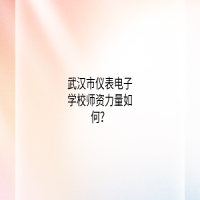 武漢市儀表電子學(xué)校師資力量如何？