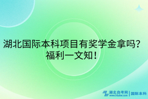 湖北國際本科項目有獎學金拿嗎？福利一文知！