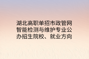 湖北高職單招市政管網(wǎng)智能檢測(cè)與維護(hù)專業(yè)公辦招生院校、就業(yè)方向