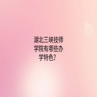 湖北三峽技師學(xué)院有哪些辦學(xué)特色？