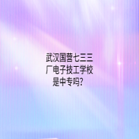 武漢國營七三三廠電子技工學(xué)校是中專嗎？